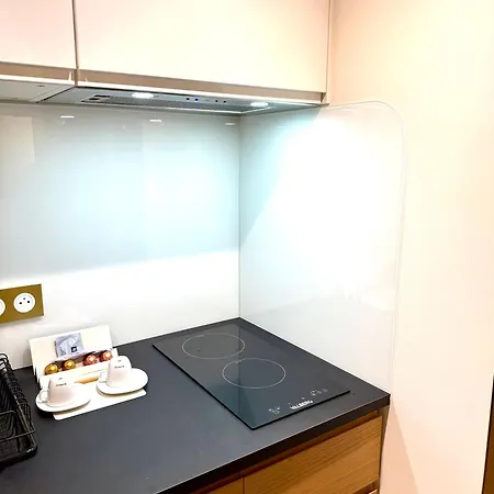 L Ecrin D Emeraude Avec Mezzanine, Apartament Tuluza
